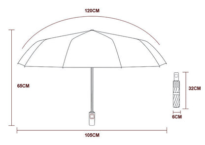 Model S/3/X/Y: Umbrella